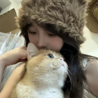 莫西干回到故乡